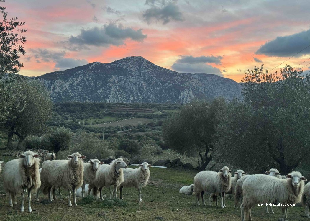 (08022) Dorgali NU - Strada Povinciale 38 — foto 5