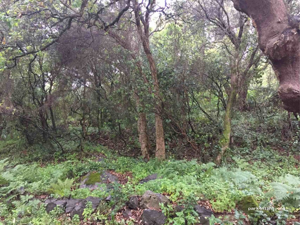 (2710) Sintra - 12 Estrada da Lagoa Azul — foto 3