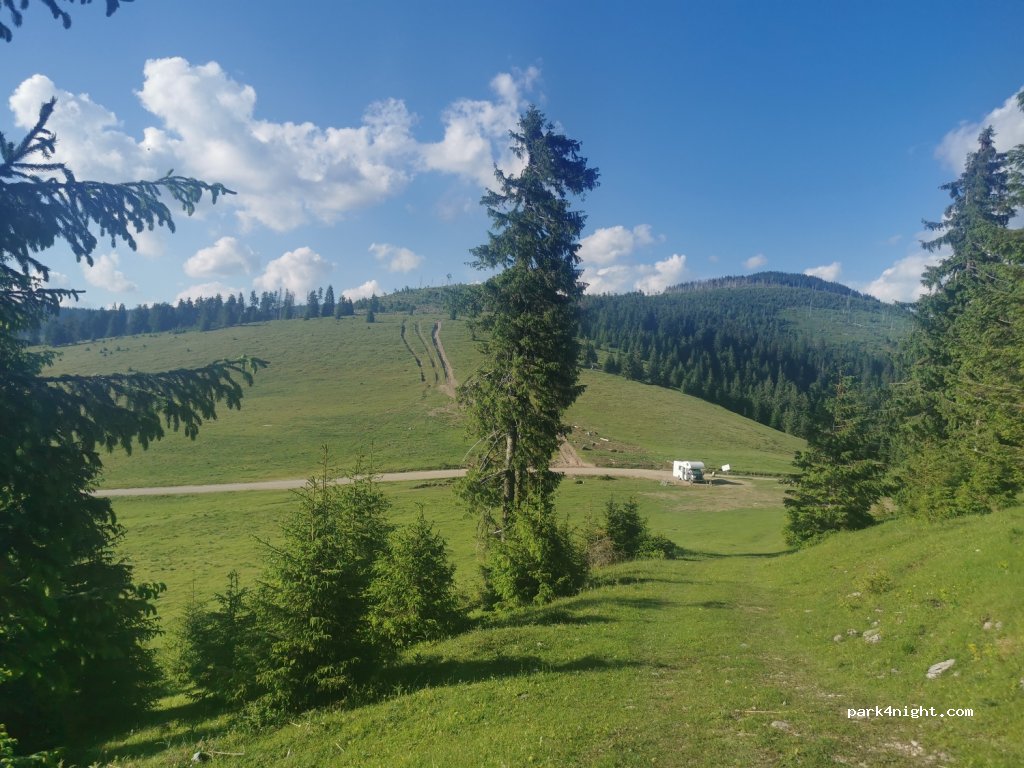 (410234) Padiş - DJ763 — foto