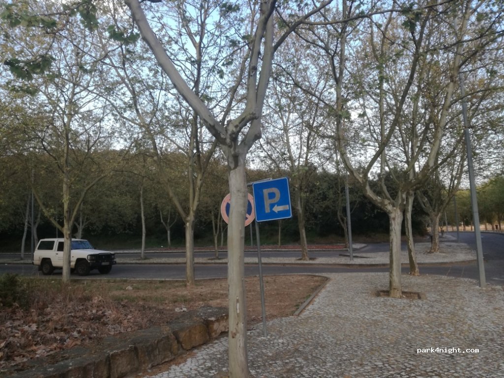 (2090) Alpiarça - Rua Dr. Ruy de Andrade — foto