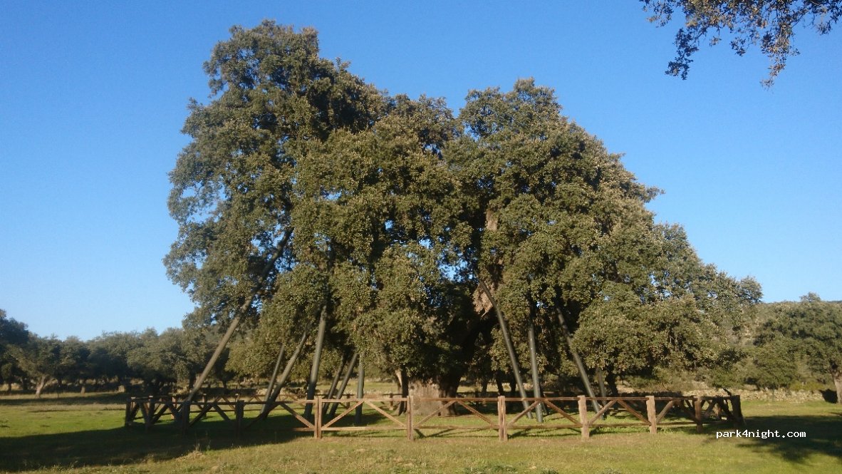 (10189) Zarza de Montánchez - — foto 2