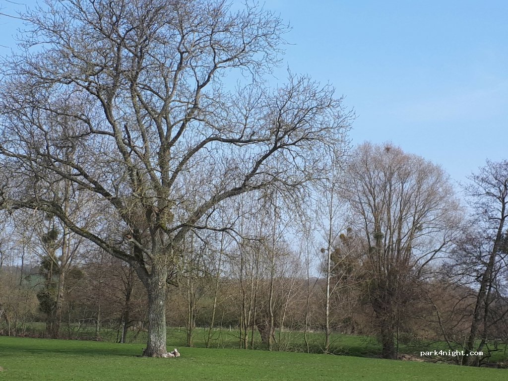 Le moulin d'Erloy — foto 2