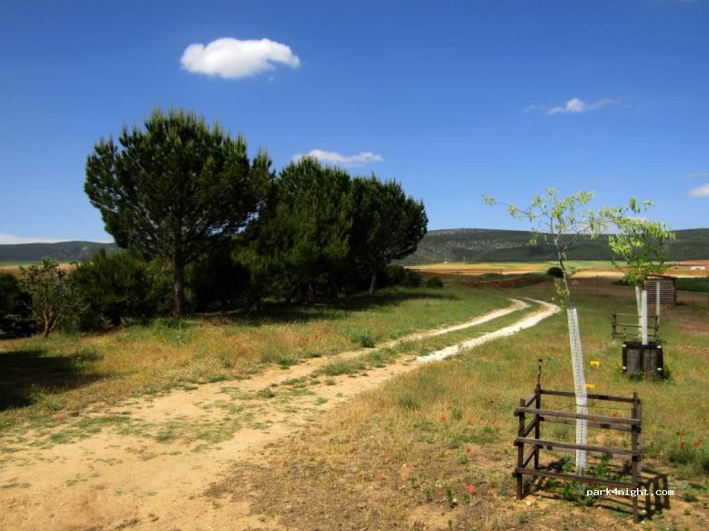 El Campichuelo — foto