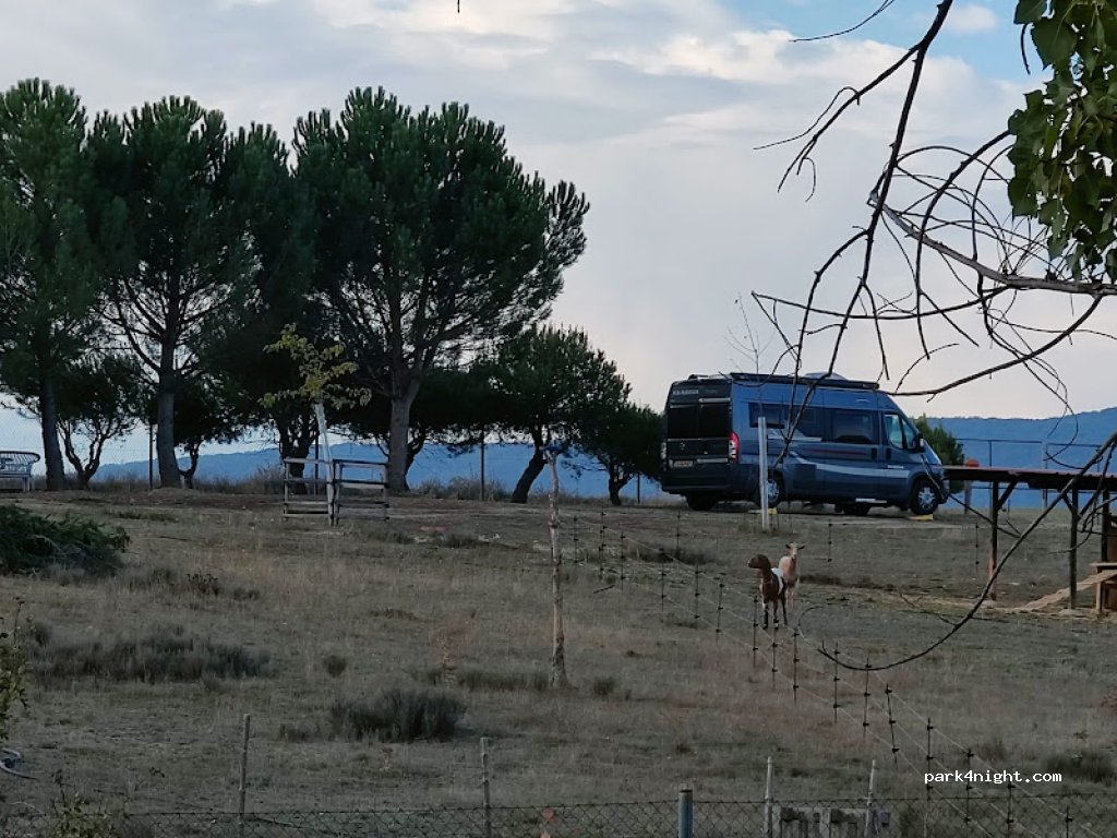 El Campichuelo — foto 3