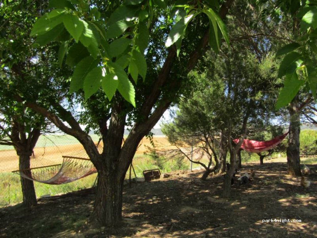 El Campichuelo — foto 5