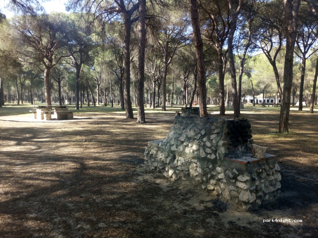 (21730) Almonte - Vereda de Sanlúcar de Barrameda — foto 3