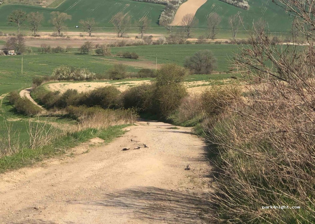 (696 37) Želetice - Unnamed Road — foto 3