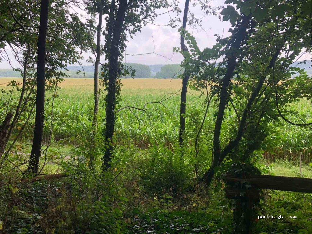 (76940) Notre-Dame-de-Bliquetuit - Route des Chaumières — foto 4
