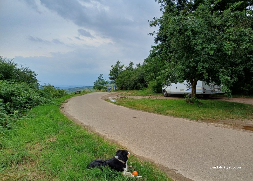 (54346) Mehring - Unnamed Road — foto 4