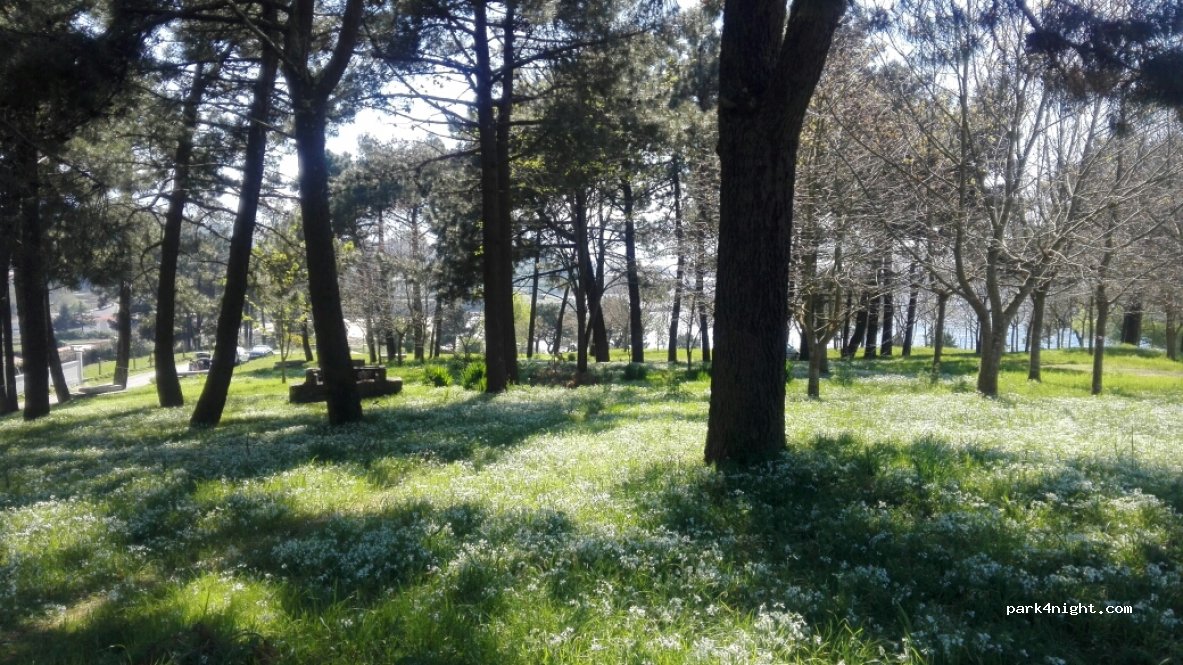 (15999) Miñortos - 10 Lugar Ribeiro — foto