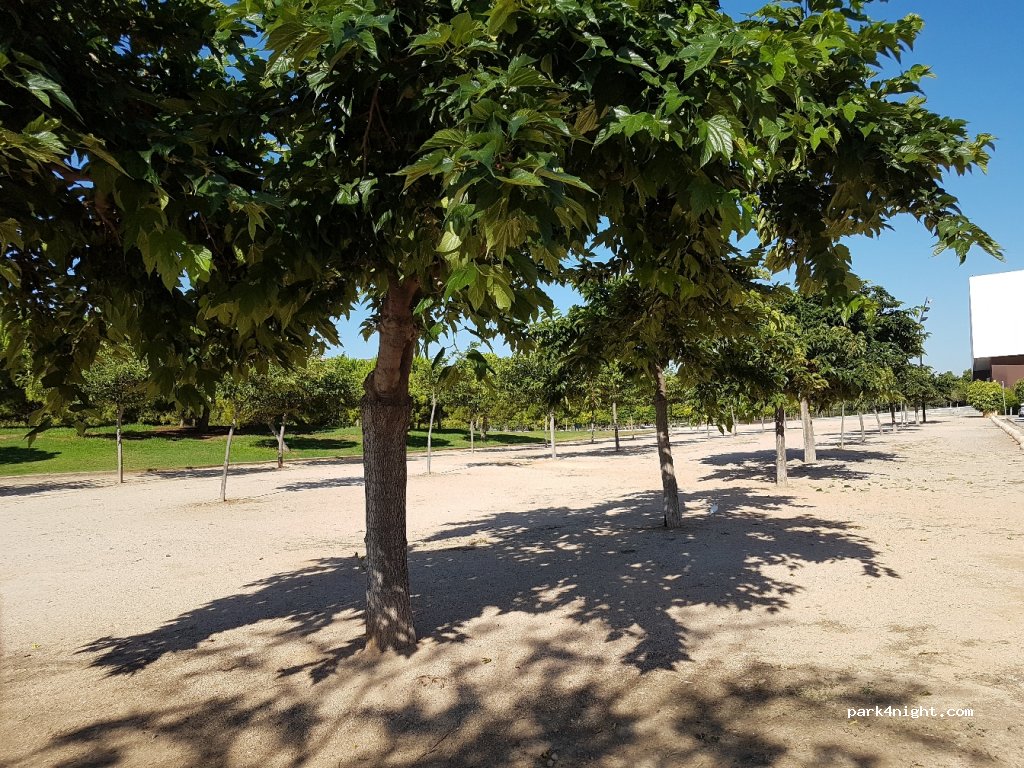 () Castelló de la Plana - Ronda Circunvalación — foto 3