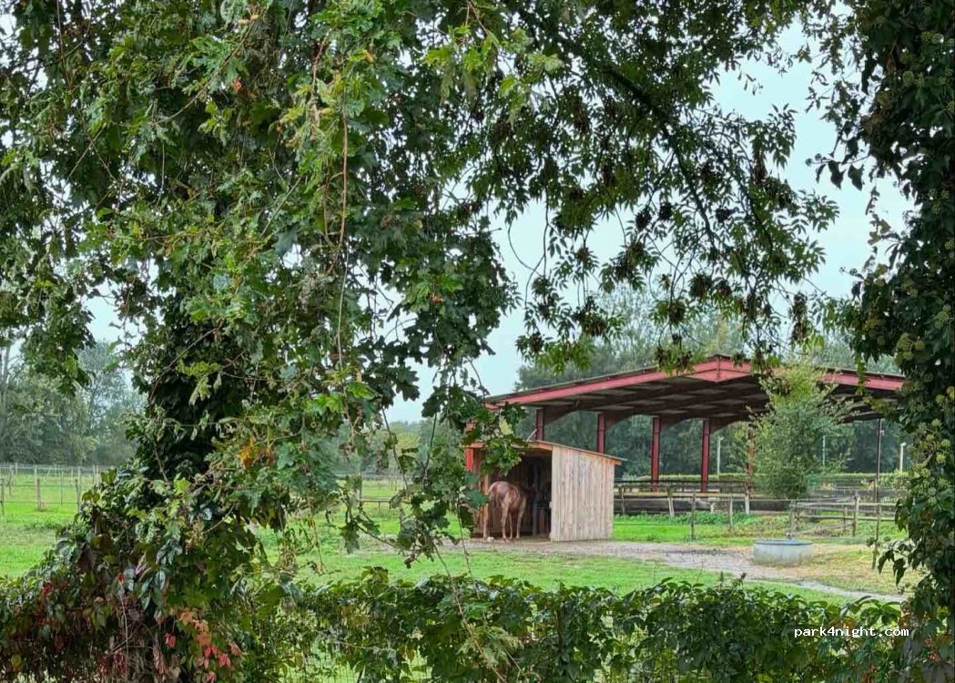 (01140) Thoissey - 7 Place Obourg — foto 2