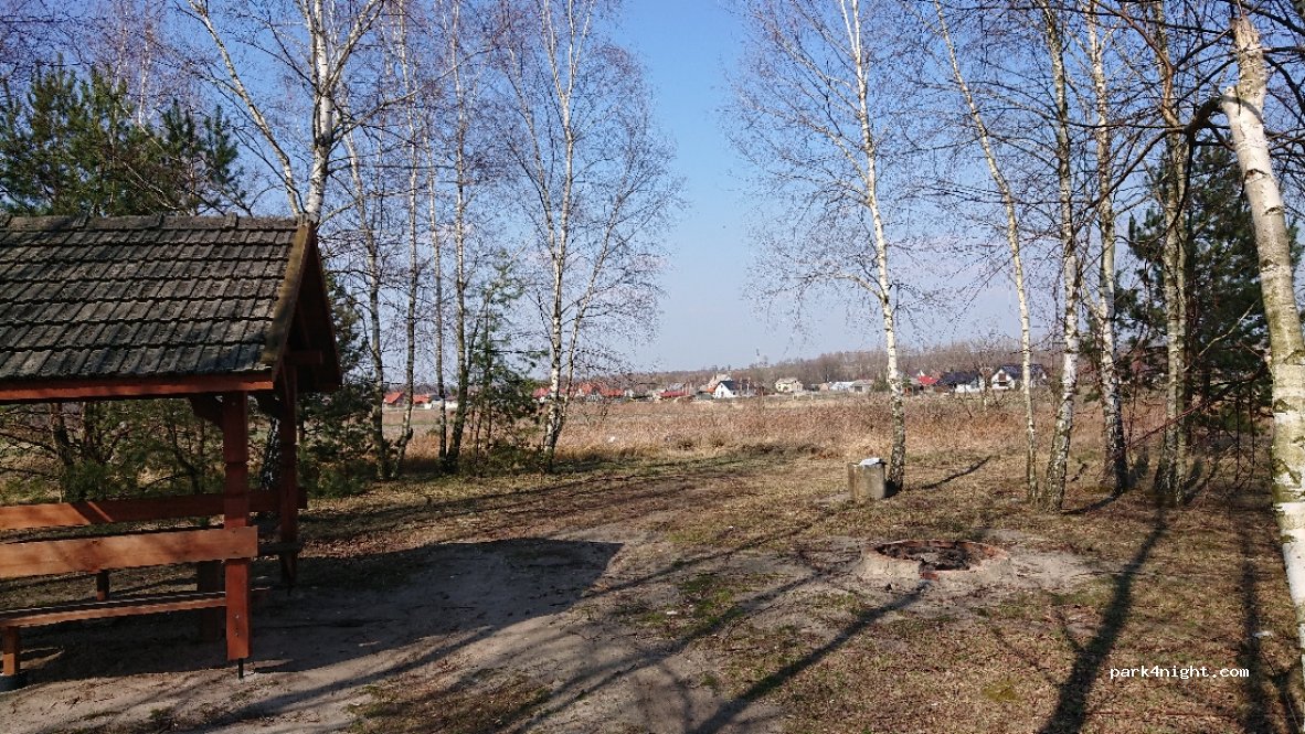 (37) Brzóza Królewska - Unnamed Road — foto 2