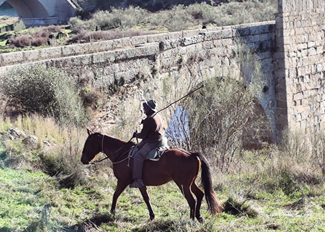 (10252) Torrecillas de la Tiesa - N-V — foto 3