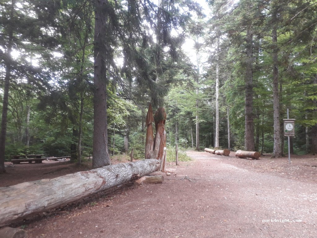 (1273) Bassins - Chemin de l'Etang — foto 4