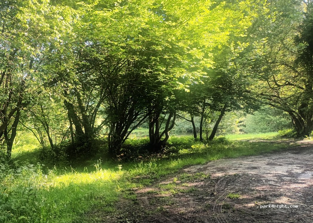(31440) Cierp-Gaud - Chemin de la Prade — foto 2