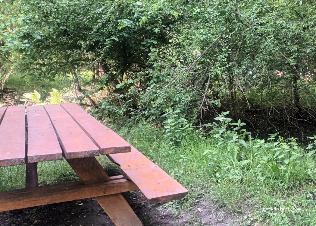 (31440) Cierp-Gaud - Chemin de la Prade — foto 3