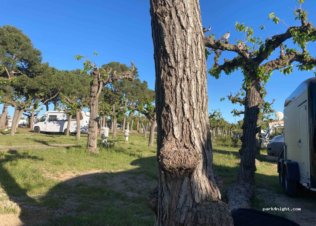 Kampaoh Cambrils — foto 5