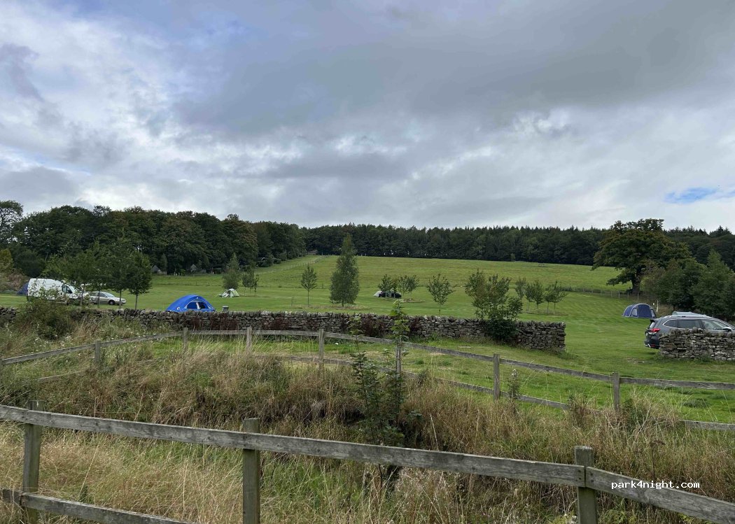 Catgill Farm - Camping and Glamping — foto 5