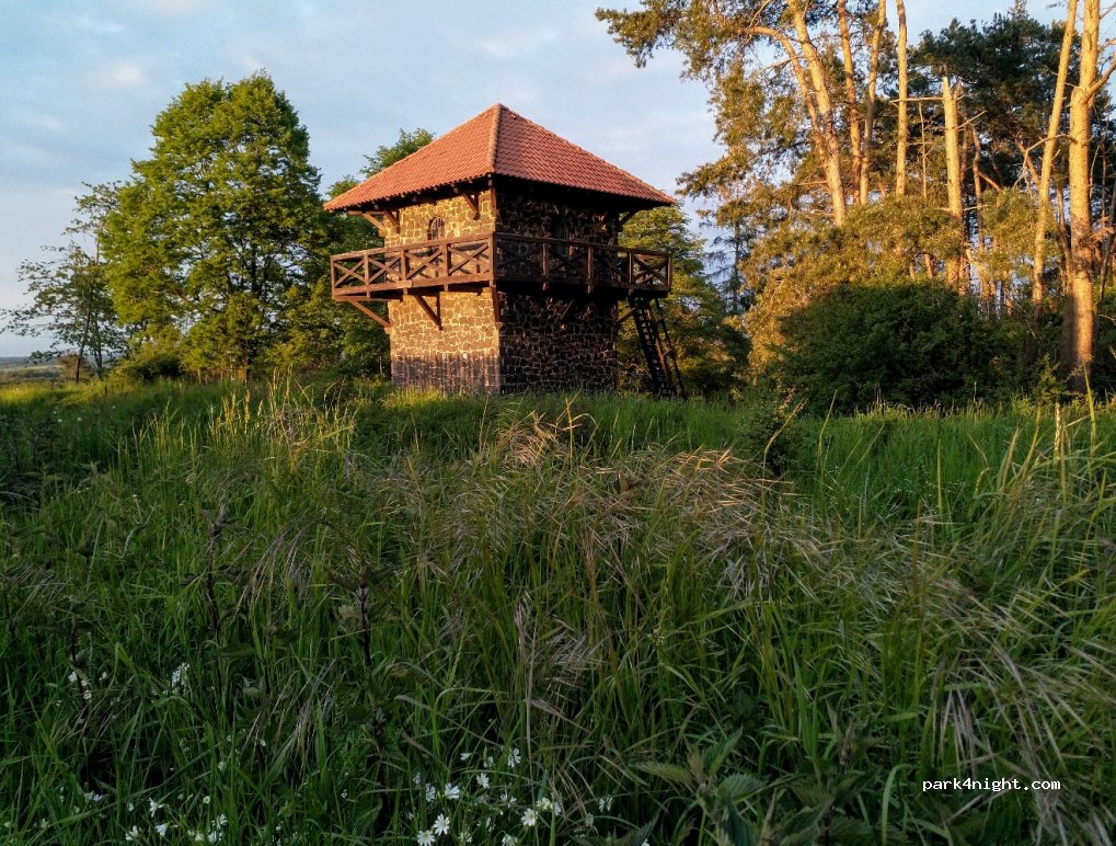 (35415) Pohlheim - unamed road — foto 2