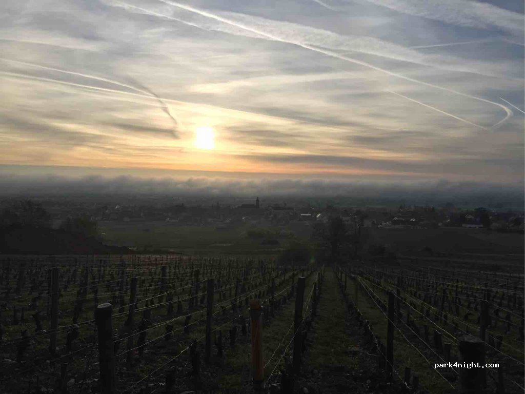 (21160) Marsannay-la-Côte - Unnamed Road — foto 3