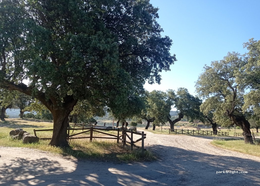 (10600) Plasencia - Unnamed Road — foto 3