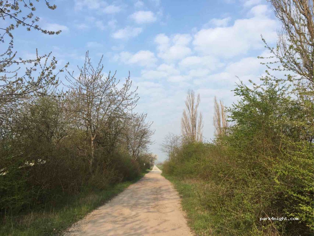 Parkplatz am Wasserwerk, Nähe Weinberg Mücheln — foto