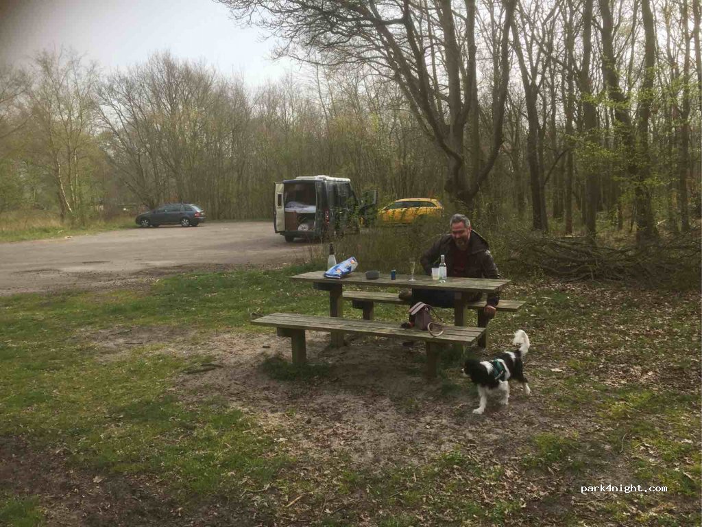 (4328 ES) Burgh-Haamstede - 3 Biesterveldwegje — foto