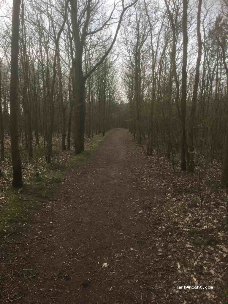 (4328 ES) Burgh-Haamstede - 3 Biesterveldwegje — foto 2