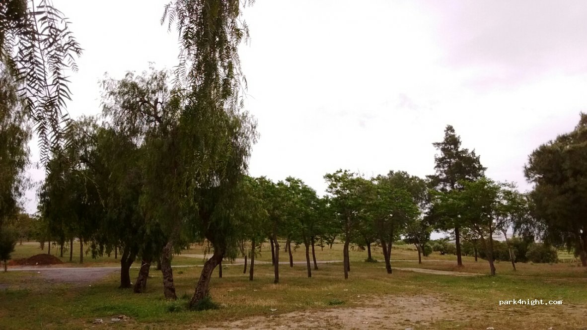 (41740) Lebrija - Unnamed Road — foto
