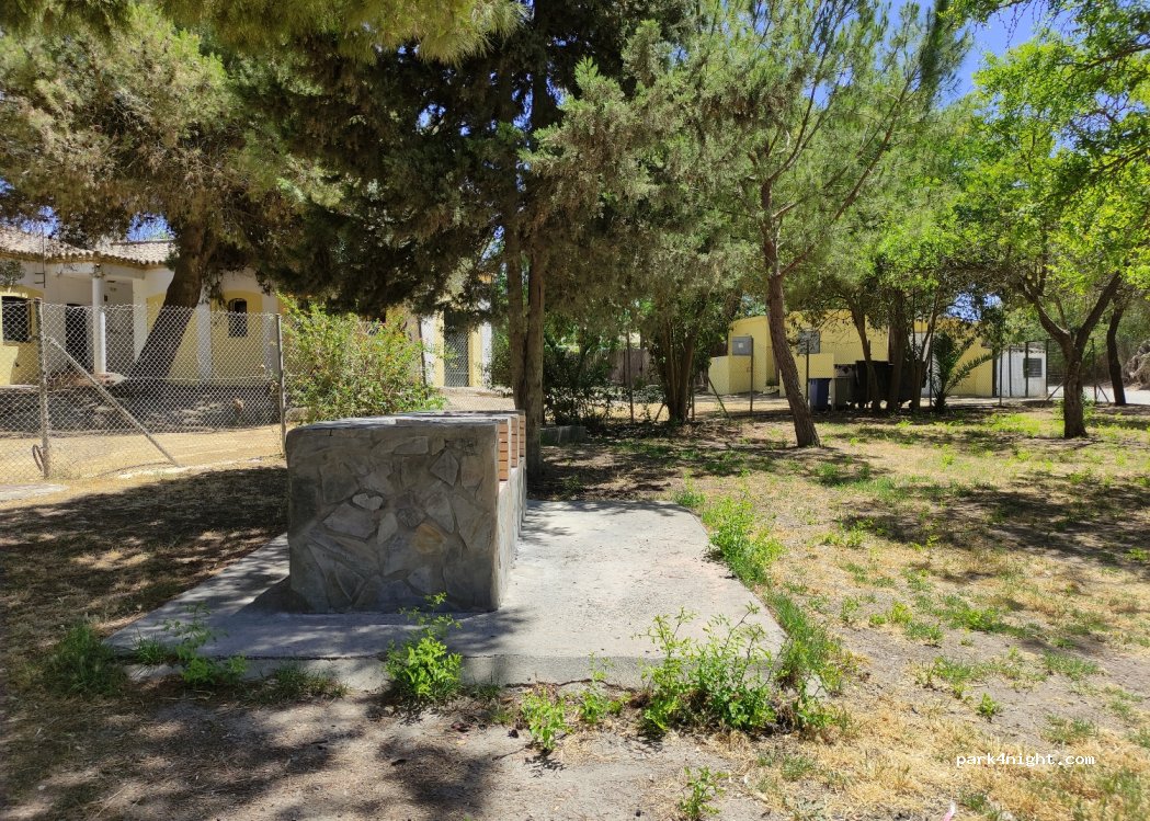(41740) Lebrija - Unnamed Road — foto 3