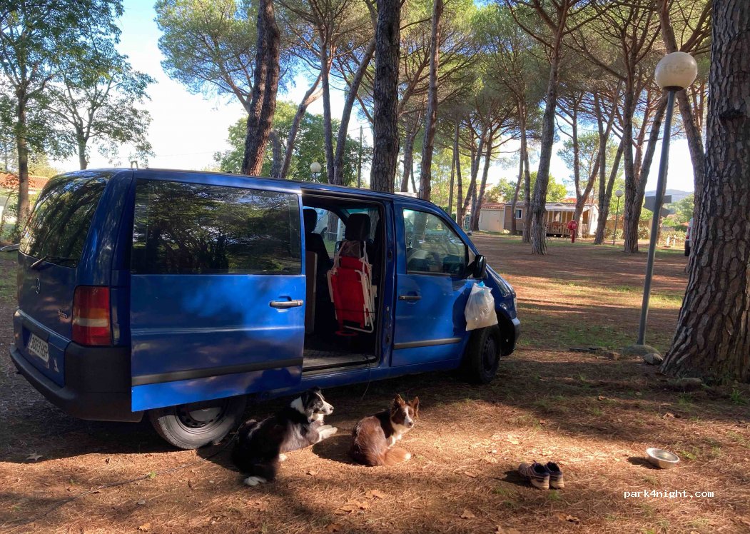 Camping municipal Maureillas — foto 4