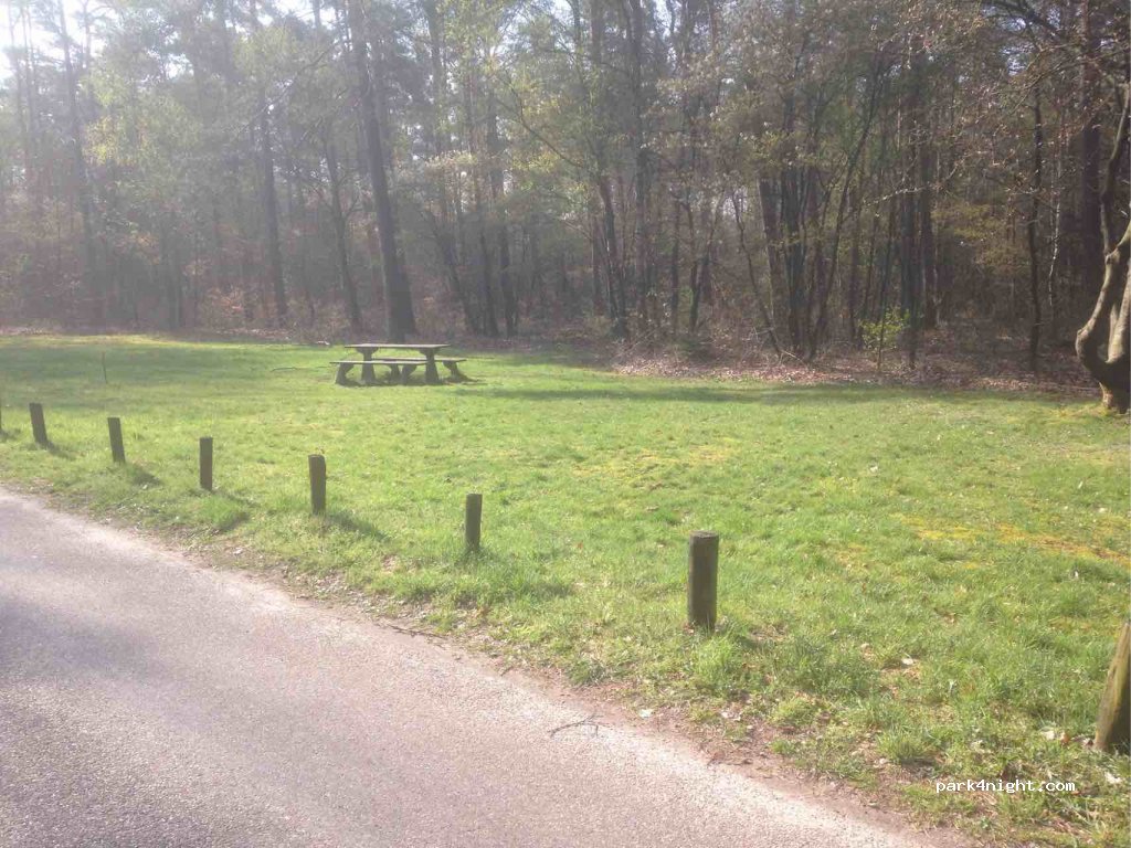 (3749 AT) Lage Vuursche - Zwarteweg — foto