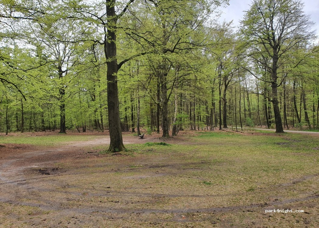 (3749 AT) Lage Vuursche - Zwarteweg — foto 2