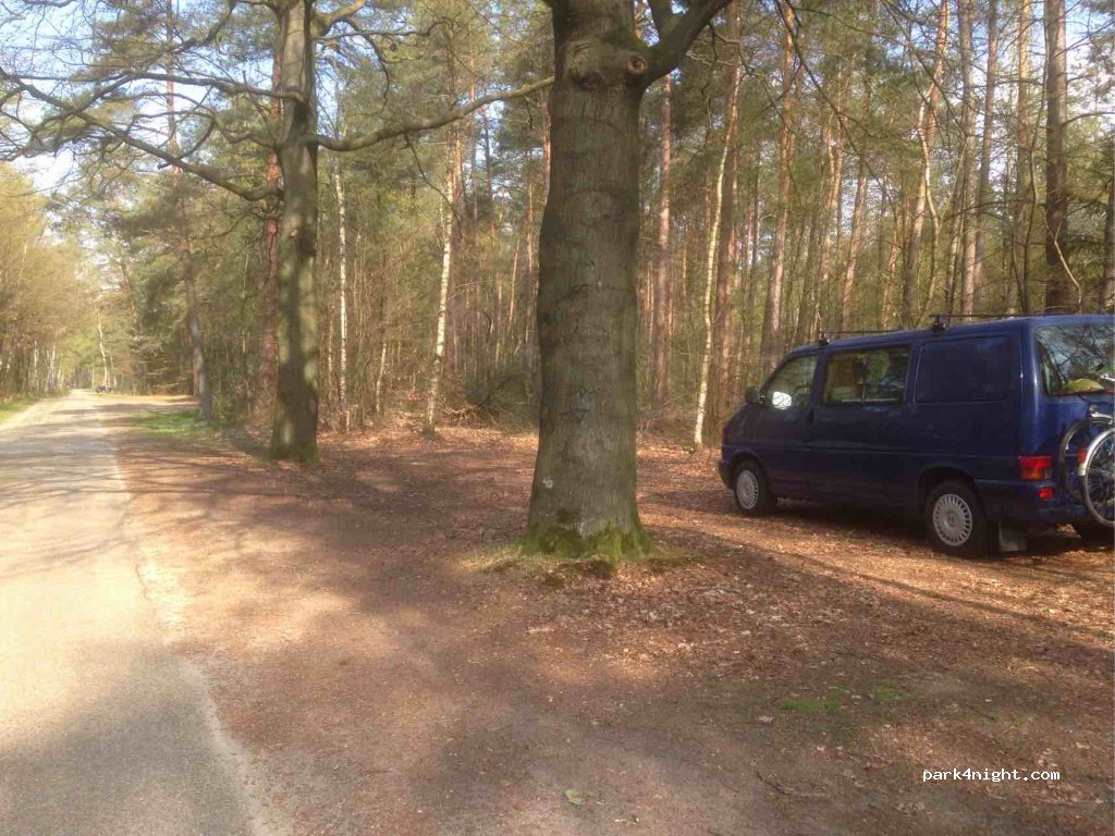 (3749 AT) Lage Vuursche - Zwarteweg — foto 3