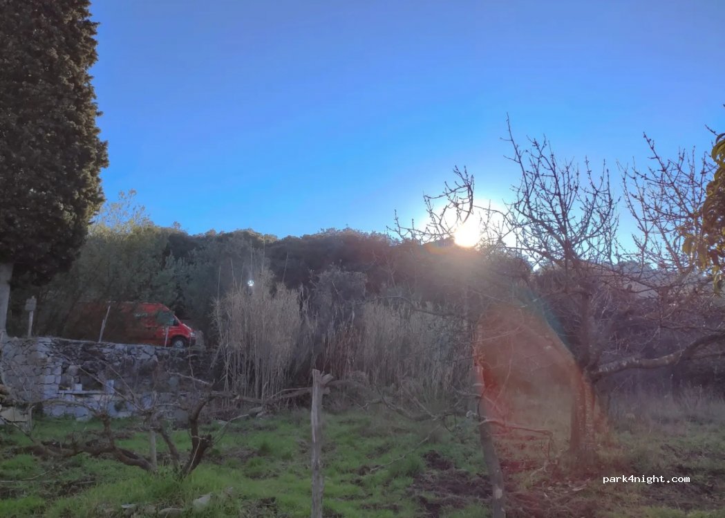 (08317) Òrrius - Camí Sant Bartomeut — foto 2