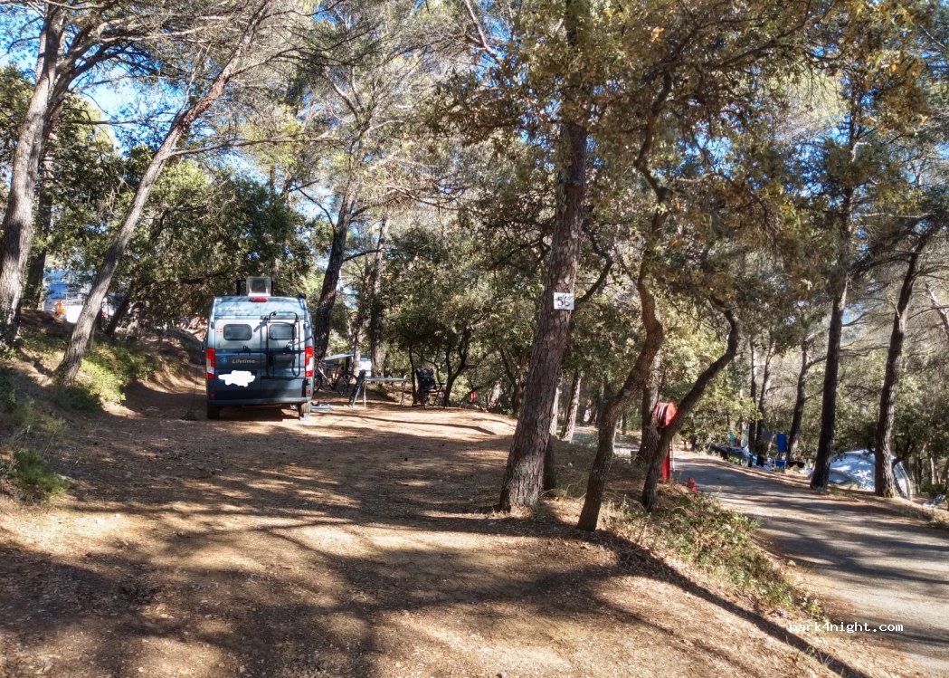 CAMPING MUNICIPAL LA PINEDE — foto 3