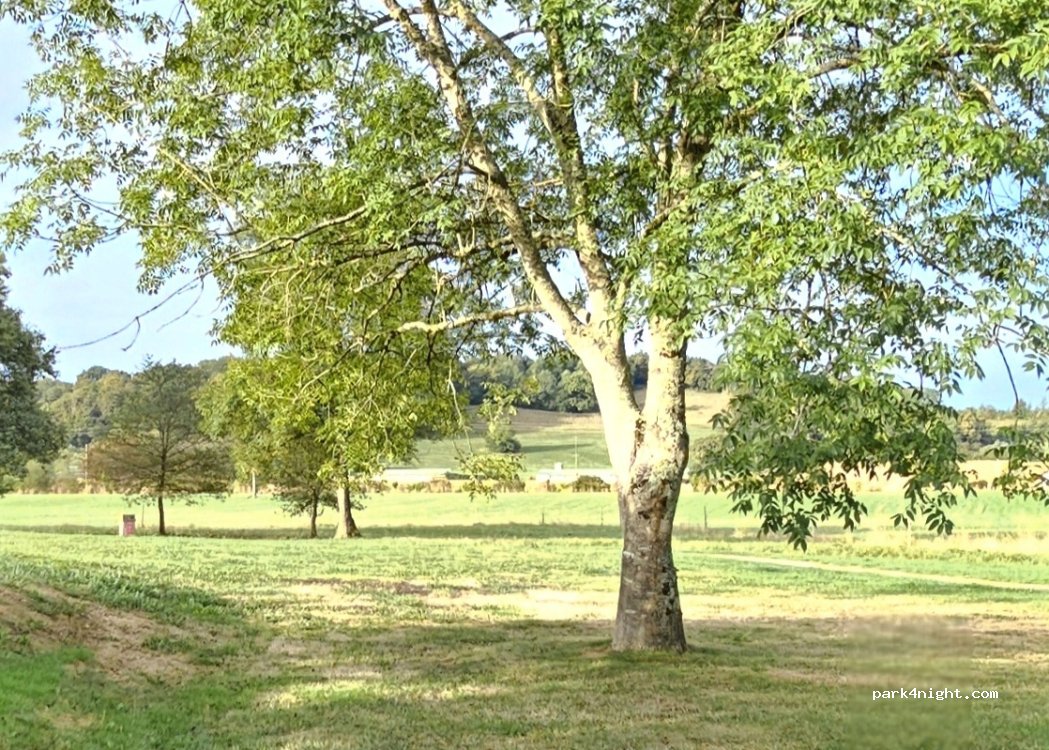 (64450) Lalonquette - 992 Chemin du Gabas — foto 4