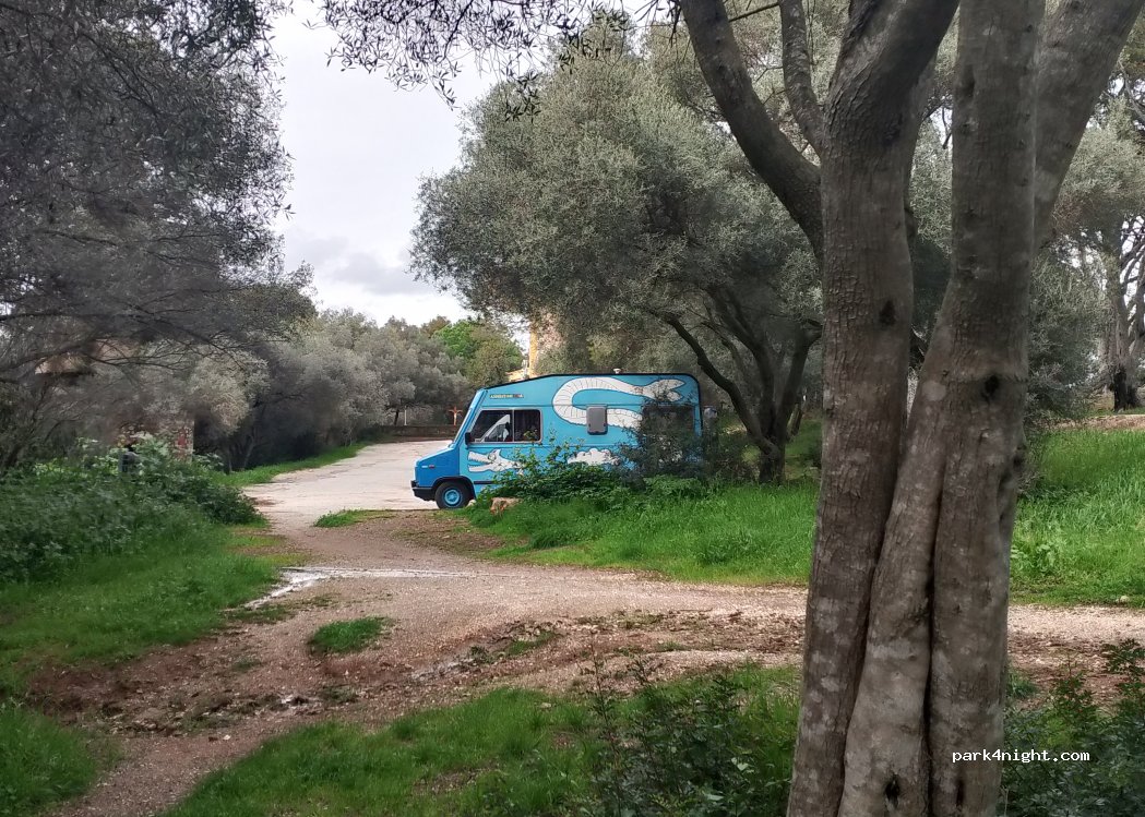 (83400) Hyères - 349 Boulevard Félix Descroix — foto 5
