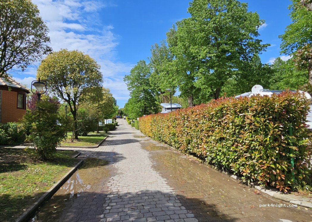 Village Flaminio — foto 4