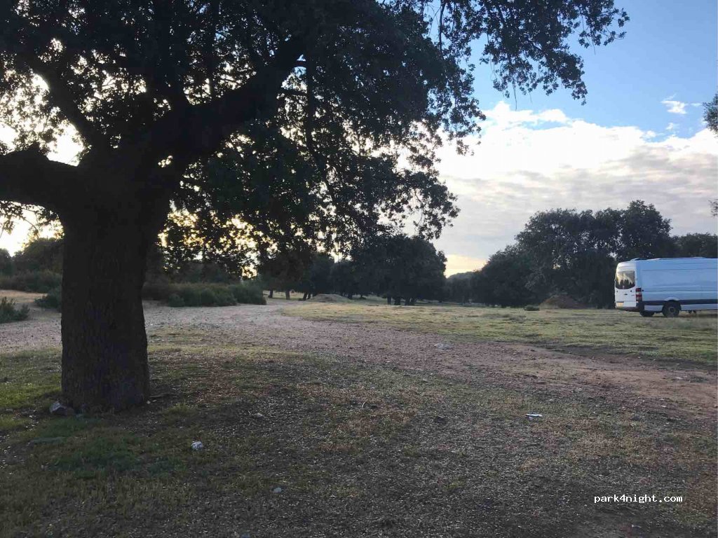 (49162) Palacios del Pan - 24 ZA-P-1405 — foto 3