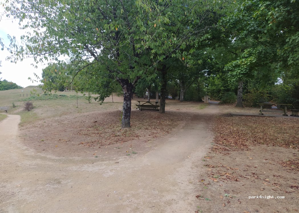 (85110) Sigournais - La Vrignaie — foto 5