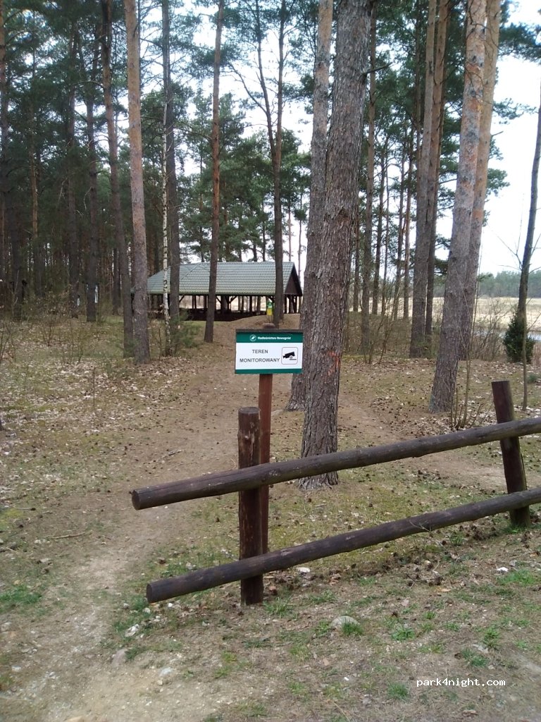 (18-414) Morgowniki - unamed road — foto