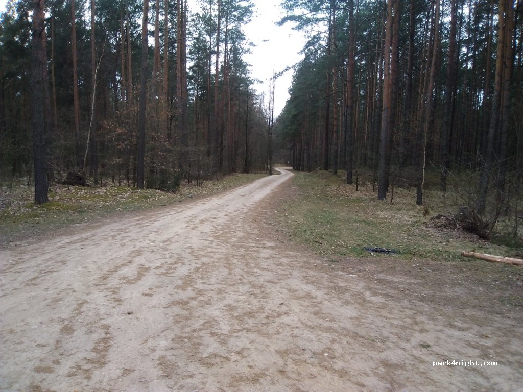 (18-414) Morgowniki - unamed road — foto 2