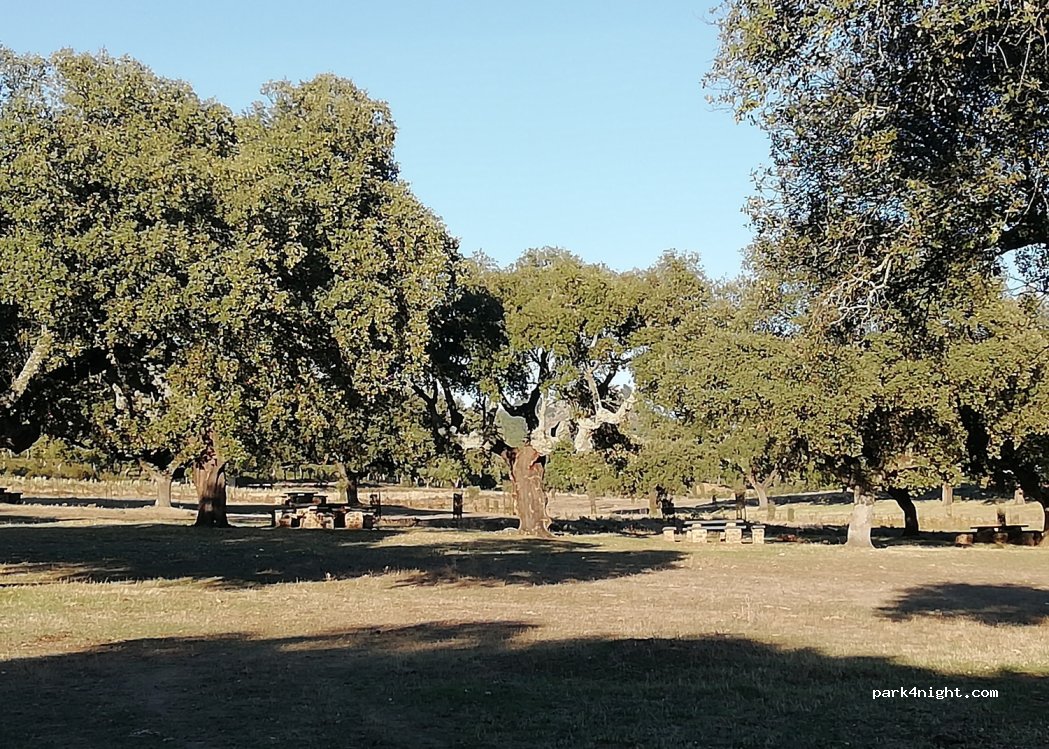 (10540) Mirabel - Unnamed Road — foto