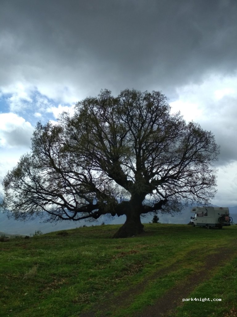 (350 02) Xiliki - Eparchiaki Odos Amfiklias-Mendenitsas — foto