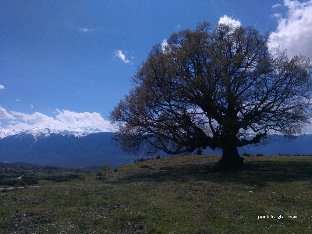 (350 02) Xiliki - Eparchiaki Odos Amfiklias-Mendenitsas — foto 2