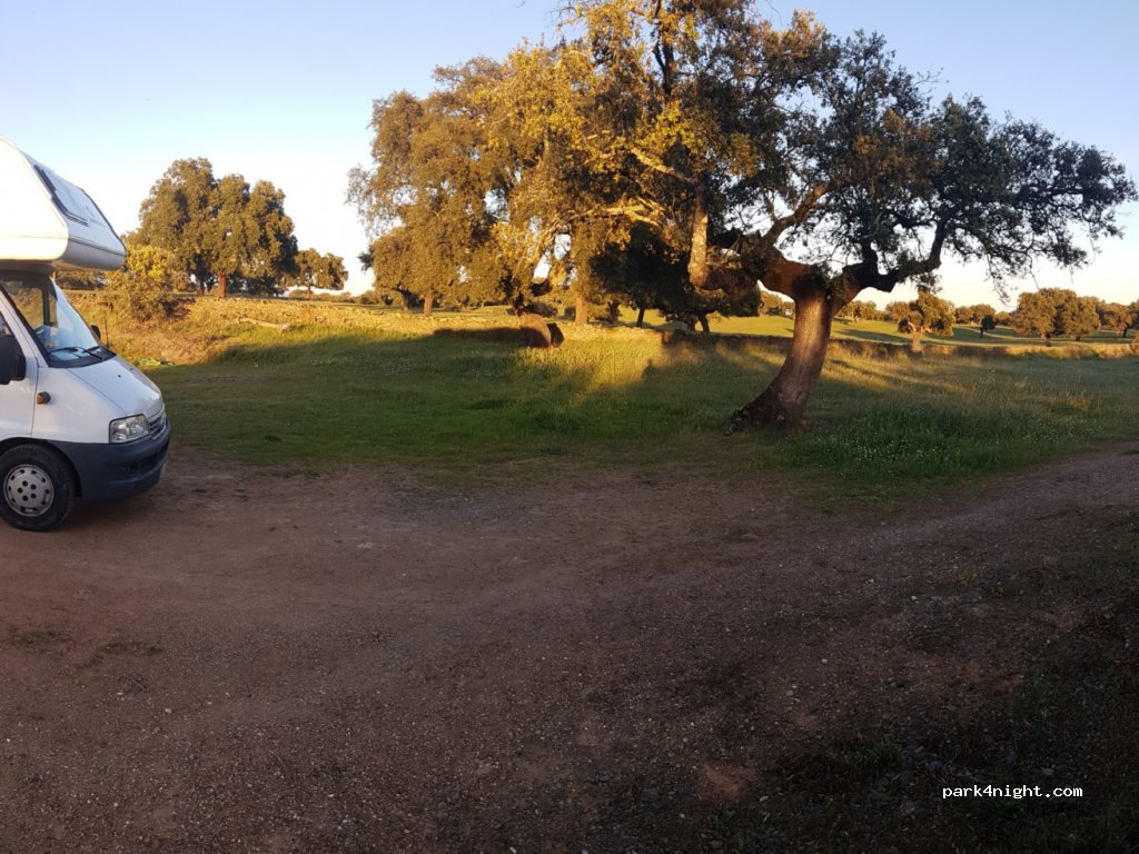 (10680) Malpartida de Plasencia - EX-208 — foto