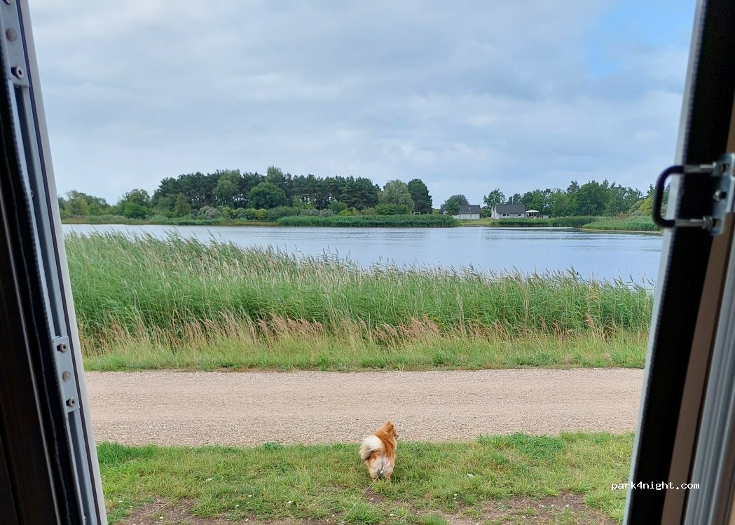 (2660) Brøndby Strand - 699C Gammel Køge Landevej — foto 3