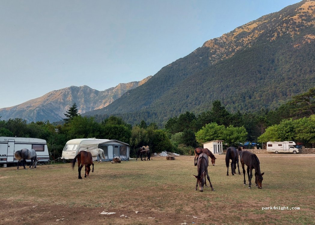 Camping Hamiti Llogara — foto 4